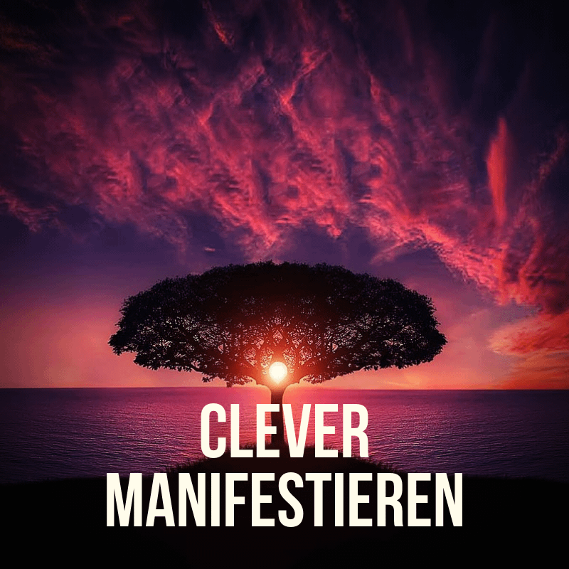 DasErfolgsCoaching - Clever Manifestieren